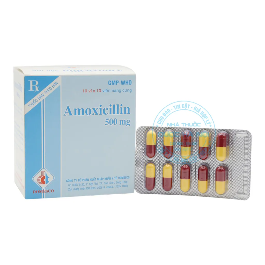 Thuốc Amoxicilin 500mg Domesco