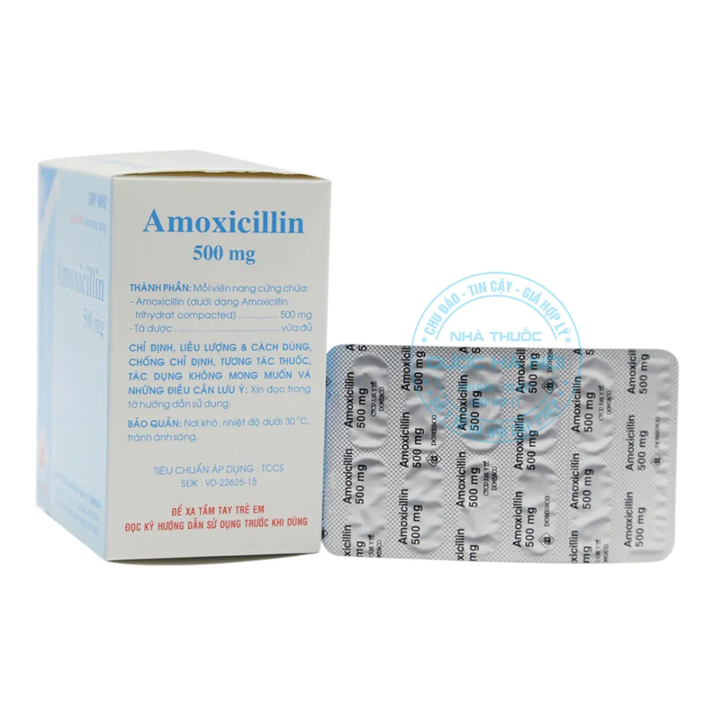 Thuốc Amoxicilin 500mg Domesco