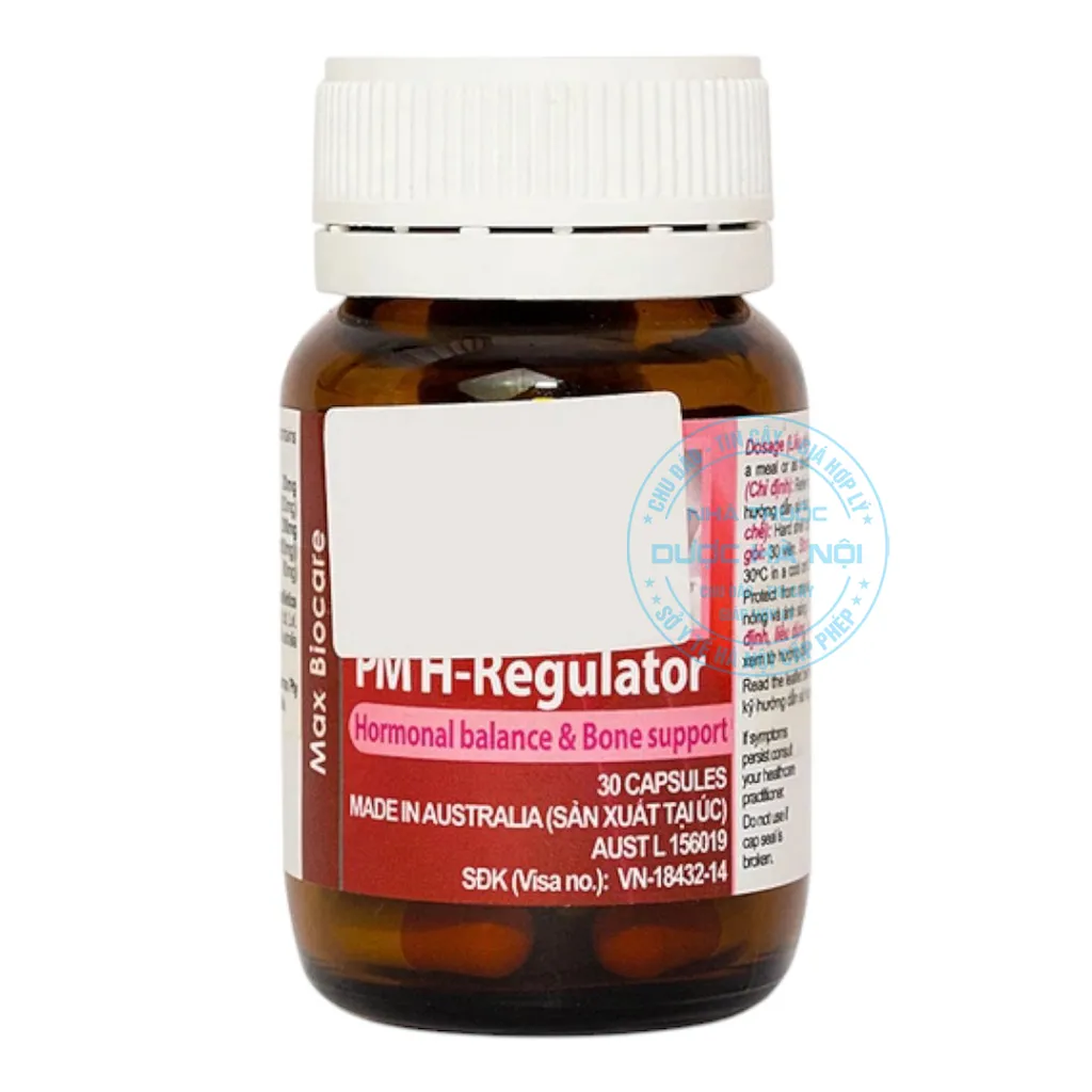 Thuốc PM H-Regulator Probiotec