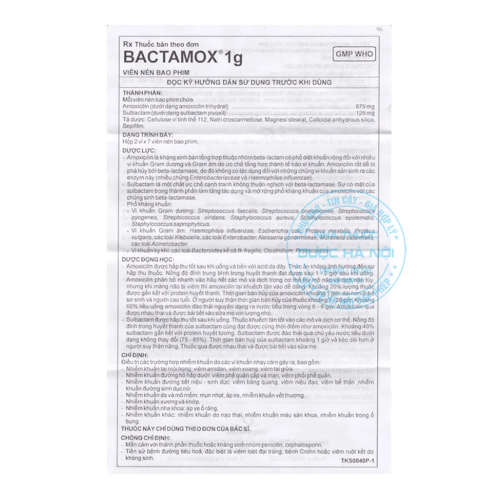 Thuốc Bactamox 1g