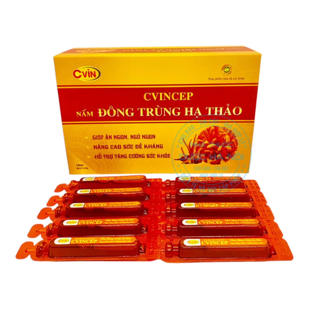 Đông Trùng Hạ Thảo CVIN