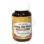 Viên Tiểu Đêm Vương Tiểu Khang