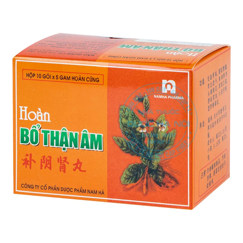 Thuốc Hoàn Bổ Thận Âm Nam Hà