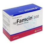 Thuốc Agifamcin 300mg