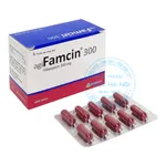 Thuốc Agifamcin 300mg