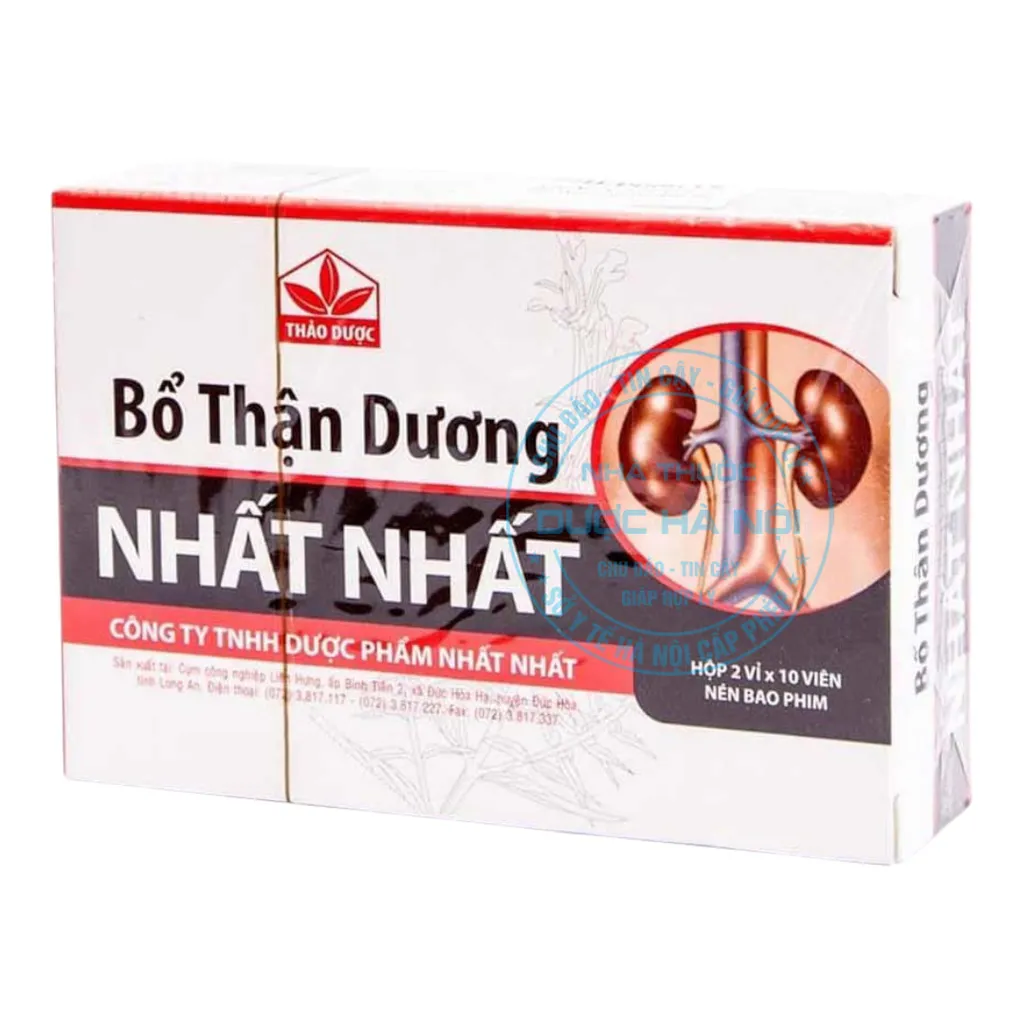 Thuốc Bổ thận dương nhất nhất