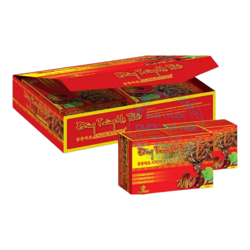 Đông Trùng Hạ Thảo ANDIFRANCE