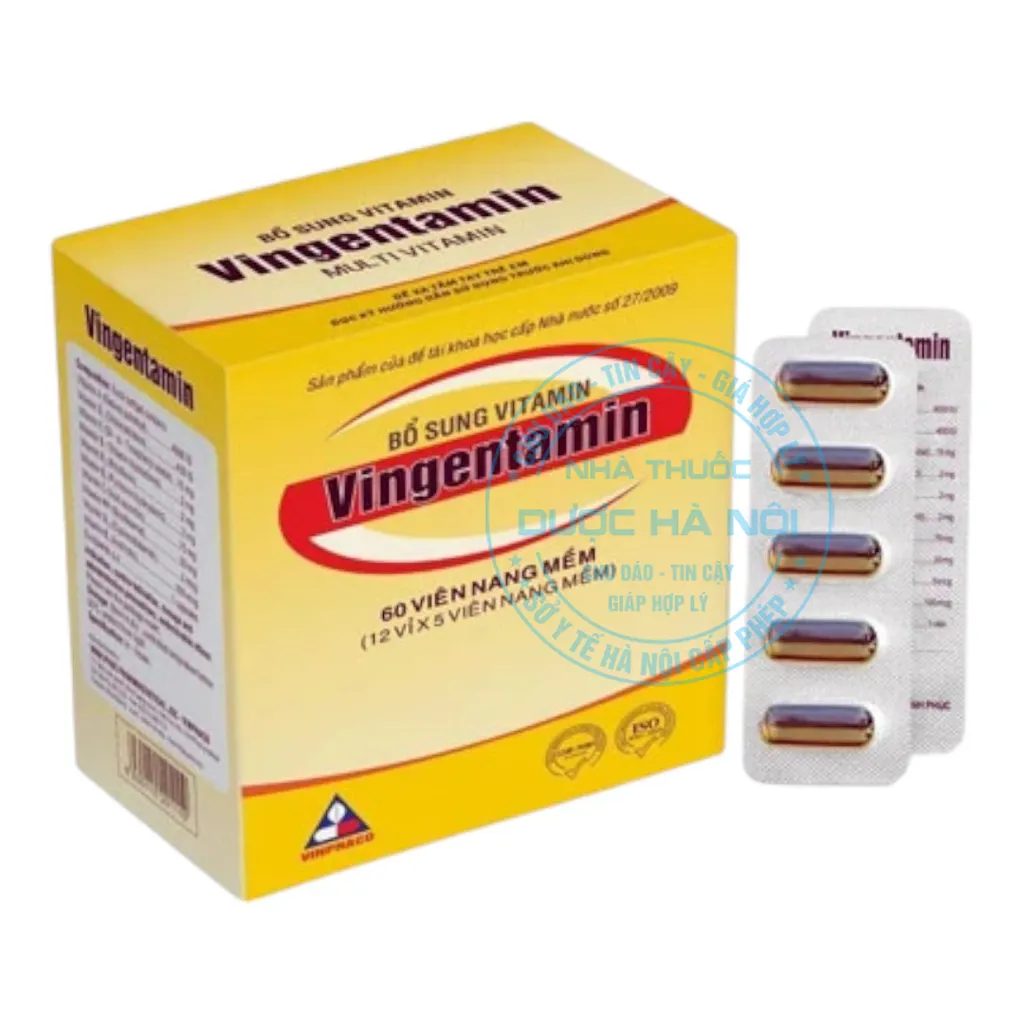 Thuốc Vingentamin