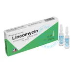 Thuốc tiêm Lincomycin 600mg/2ml