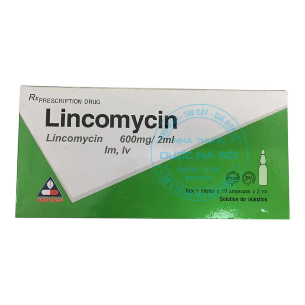 Thuốc tiêm Lincomycin 600mg/2ml
