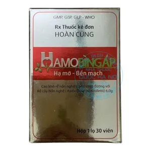 Viên uống Hamobingap điều trị vấn đề cơ xương khớp và hỗ trợ bảo vệ tim mạch