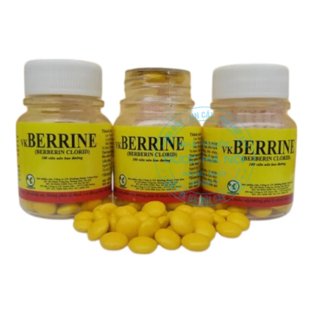 Thuốc Berberin Hà Nam 80 viên