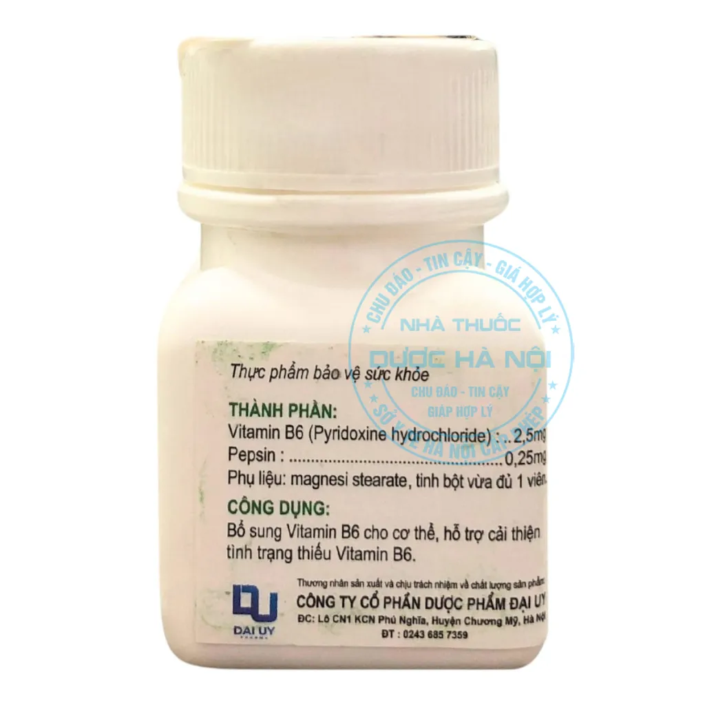 Thuốc Vitamin B6 (Lọ 100 viên)