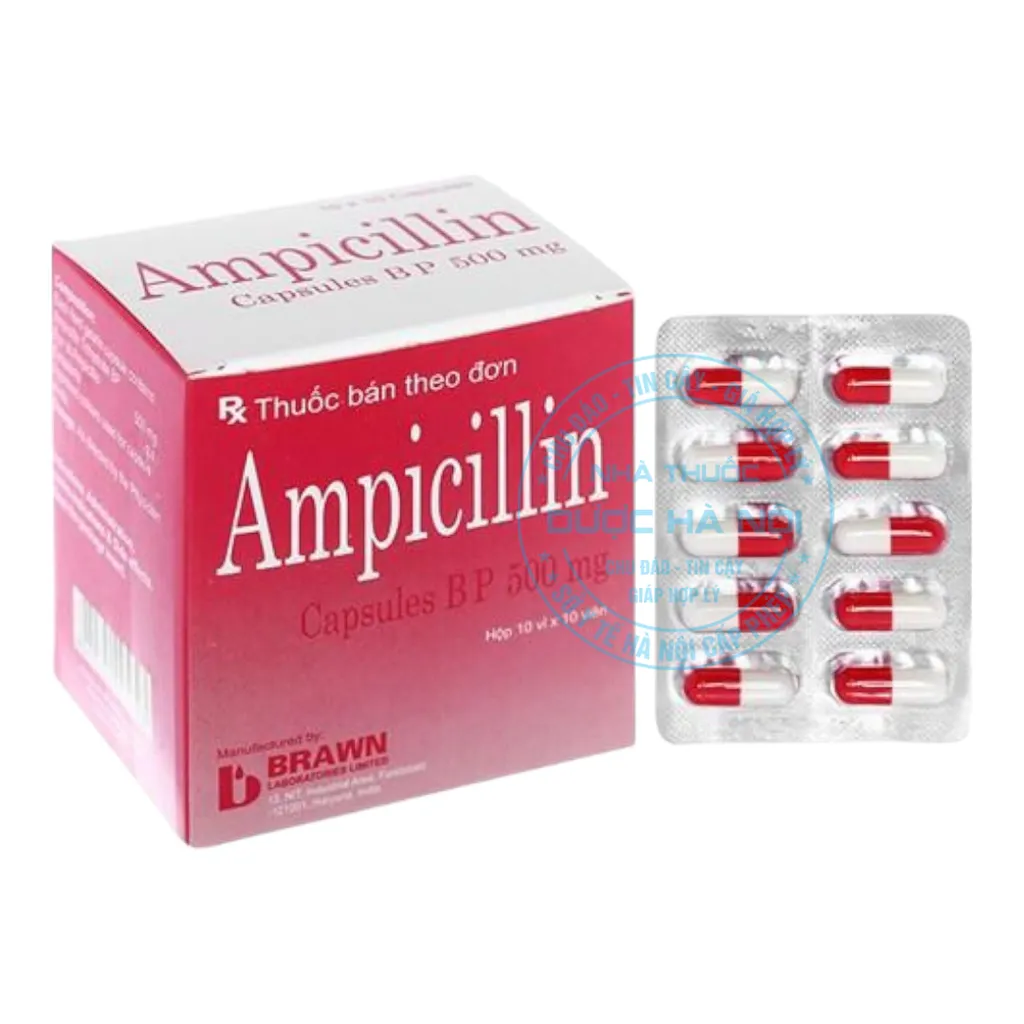 Thuốc Ampicillin 500mg Brawn