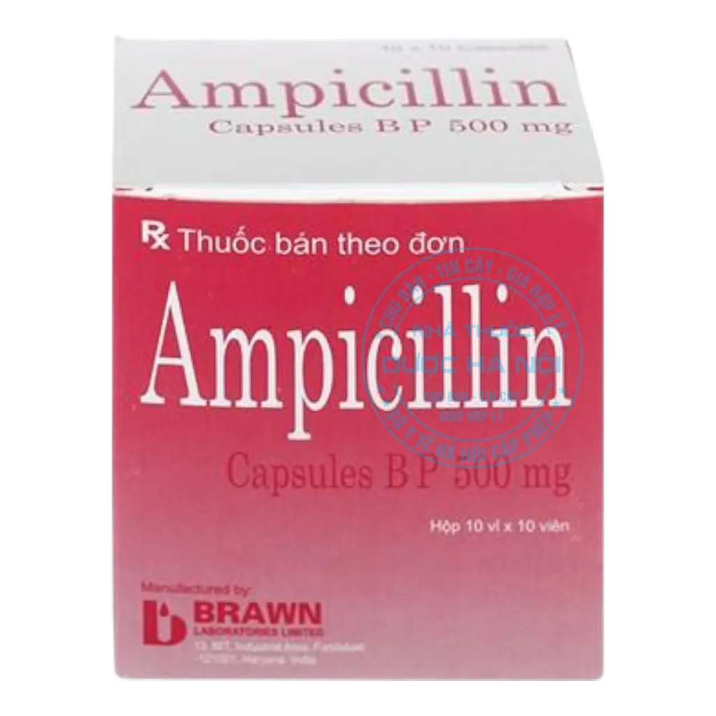 Thuốc Ampicillin 500mg Brawn