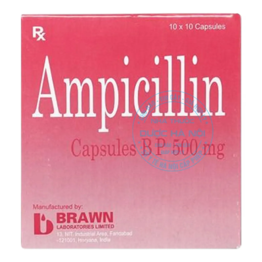 Thuốc Ampicillin 500mg Brawn
