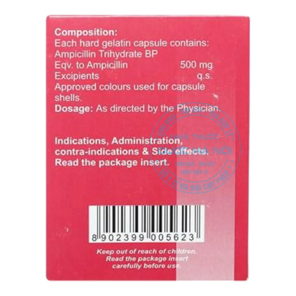 Thuốc Ampicillin 500mg Brawn