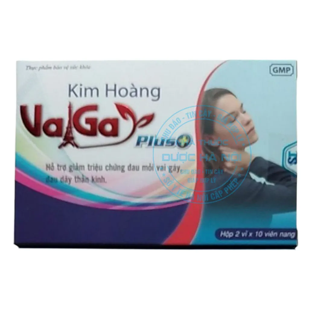Kim Hoàng Vaga Plus
