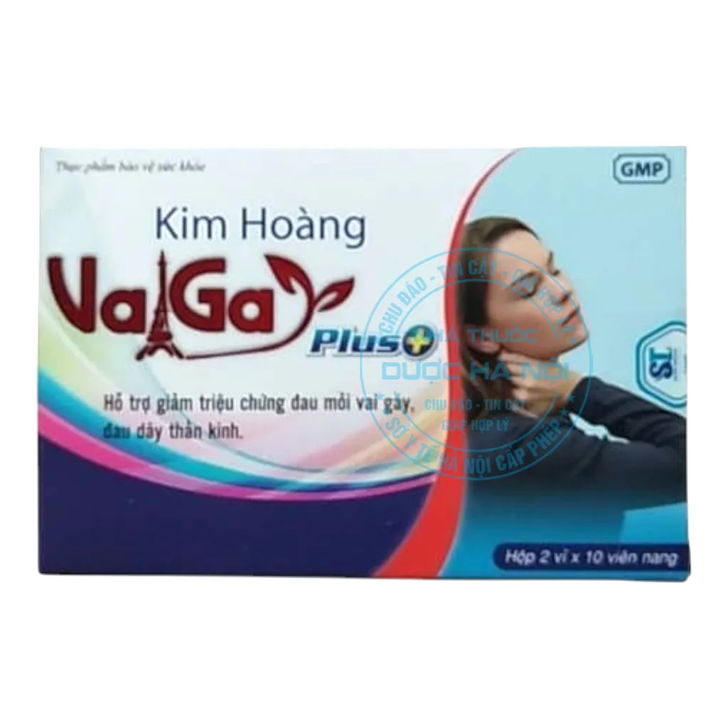 Kim Hoàng Vaga Plus