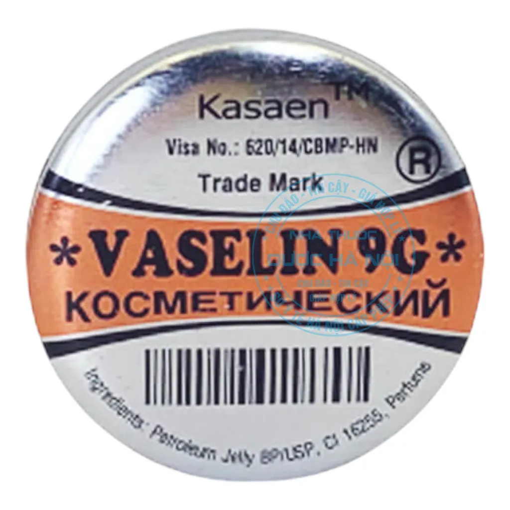 Kem nẻ Vaseline 9G Nga