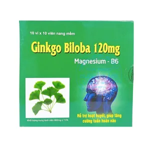 Viên uống Ginkgo biloba 120mg cải thiện tuần hoàn não