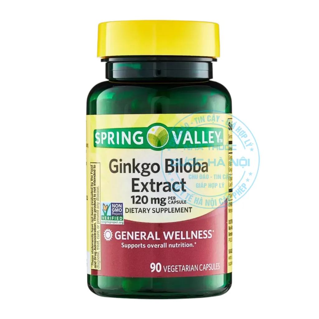 Viên uống Ginkgo Biloba Extract 120mg