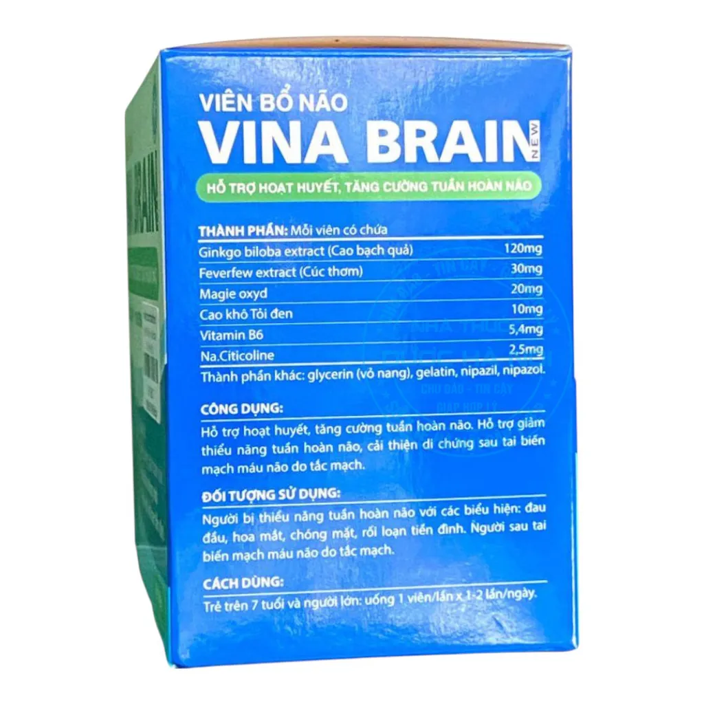 Viên uống Vina Brain New