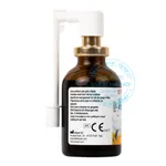 Xịt họng Otosan Spray Forte