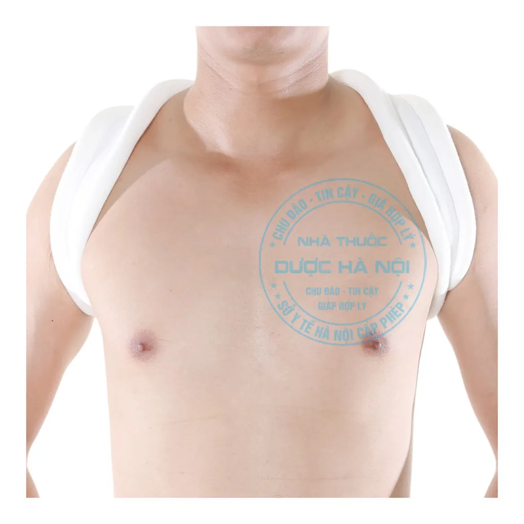 Đai Số 8 Orbe size M