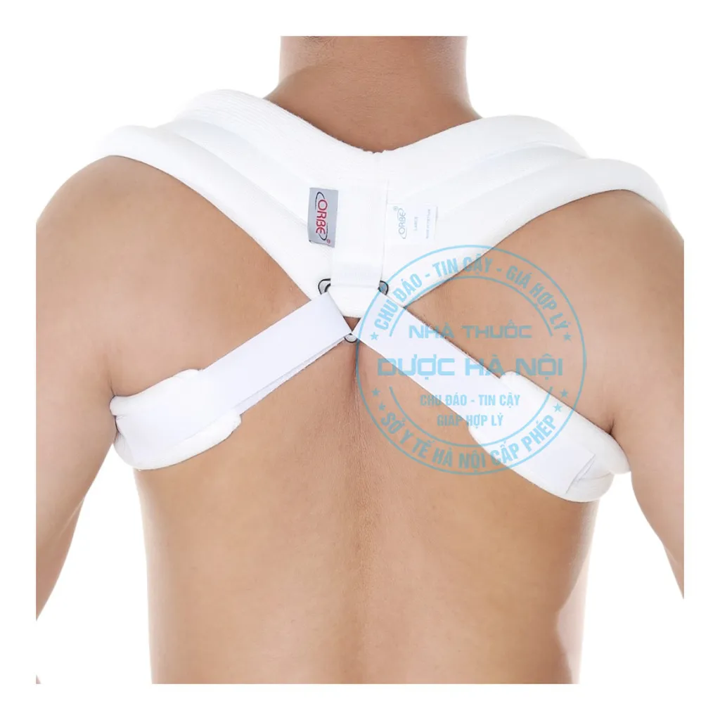 Đai Số 8 Orbe size M