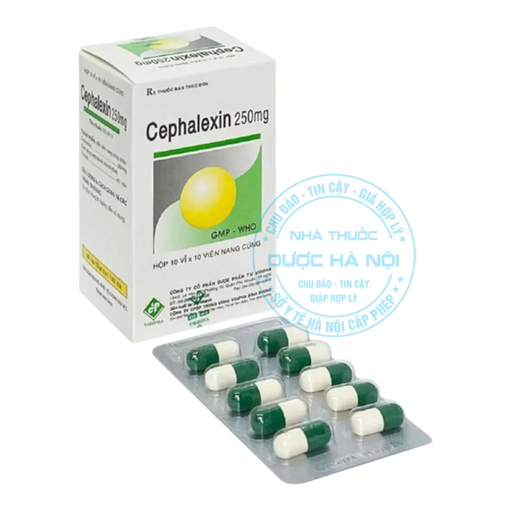 Thuốc Cephalexin 250mg