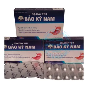Dạ dày tốt Bảo Kỳ Nam hỗ trợ điều trị các bệnh lý về dạ dày