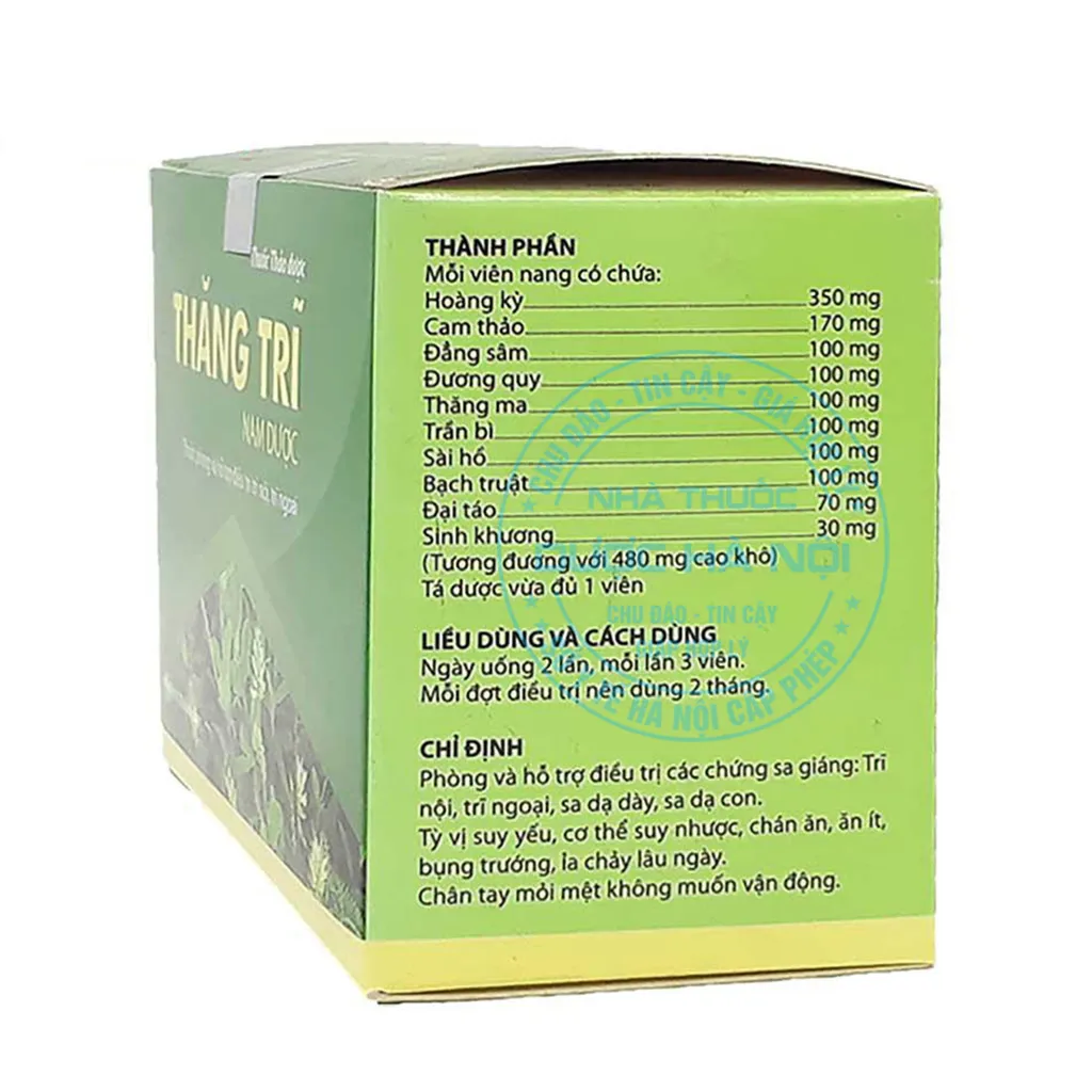 Thuốc Thăng Trĩ Nam Dược