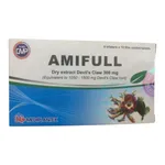 Thuốc Amifull 300mg