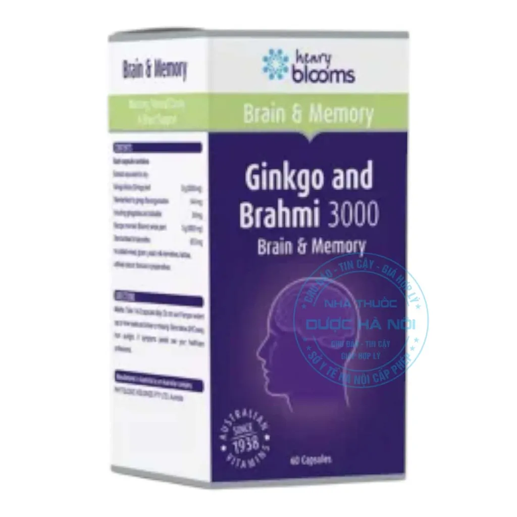 Viên uống Ginkgo and Brahmi 3000