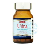 Viên uống Bewel Urina