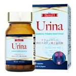 Viên uống Bewel Urina