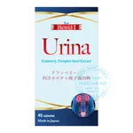 Viên uống Bewel Urina
