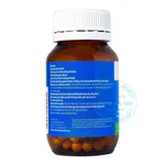 Viên uống Restore Daily Probiotic Nature's Way