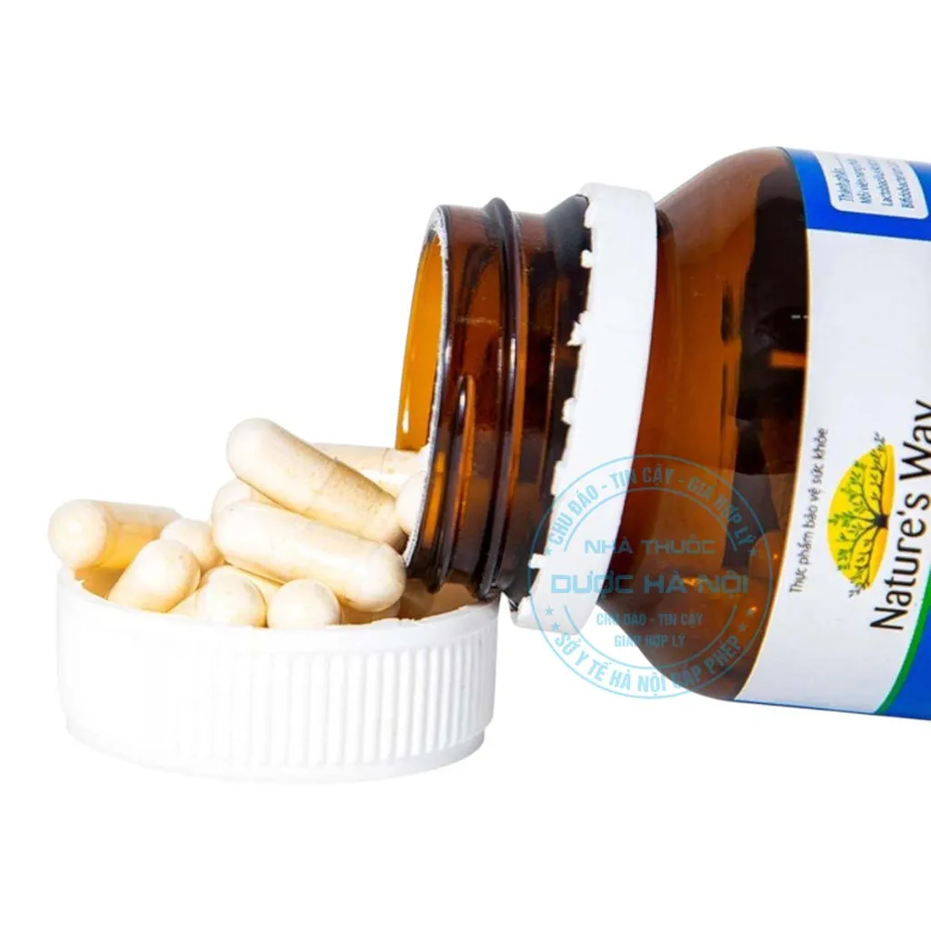 Viên uống Restore Daily Probiotic Nature's Way