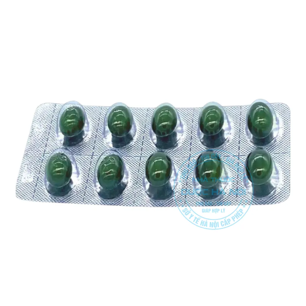Viên uống PT Ginkgo 120mg