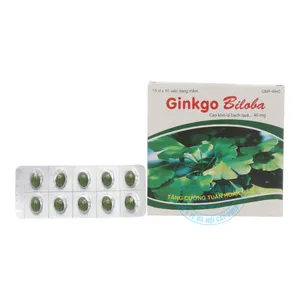 Viên uống Ginkgo Biloba 40mg Medisun hỗ trợ chức năng thần kinh và tuần hoàn máu