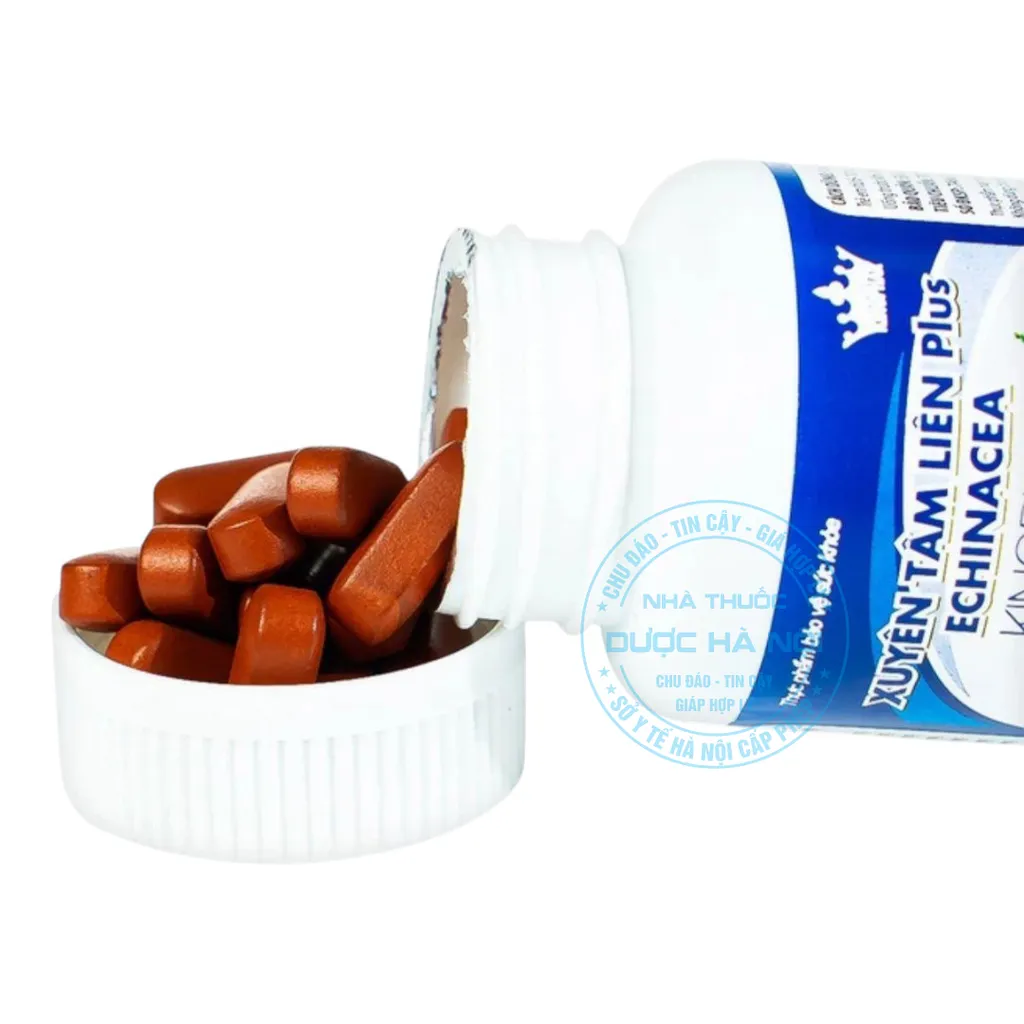 Viên uống Xuyên Tâm Liên Plus Echinacea Kingphar