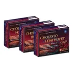 Viên uống Cholesto Hoạt huyết G&P là sự kết hợp của các thành phần tự nhiên và y học cổ truyền nhằm hỗ trợ lưu thông máu, giảm xơ vữa động mạch và cải thiện chức năng não bộ.
