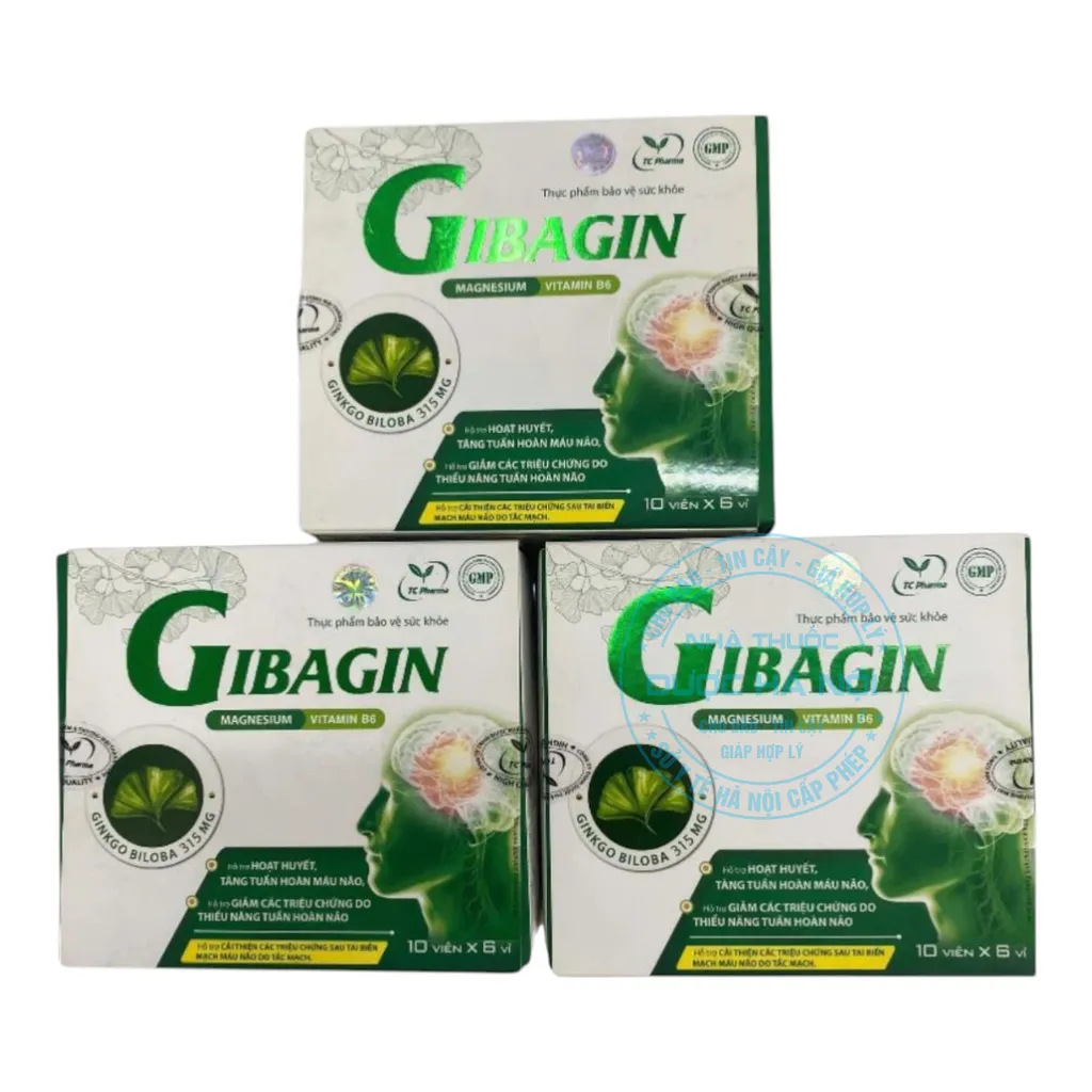 Viên uống Gibagin