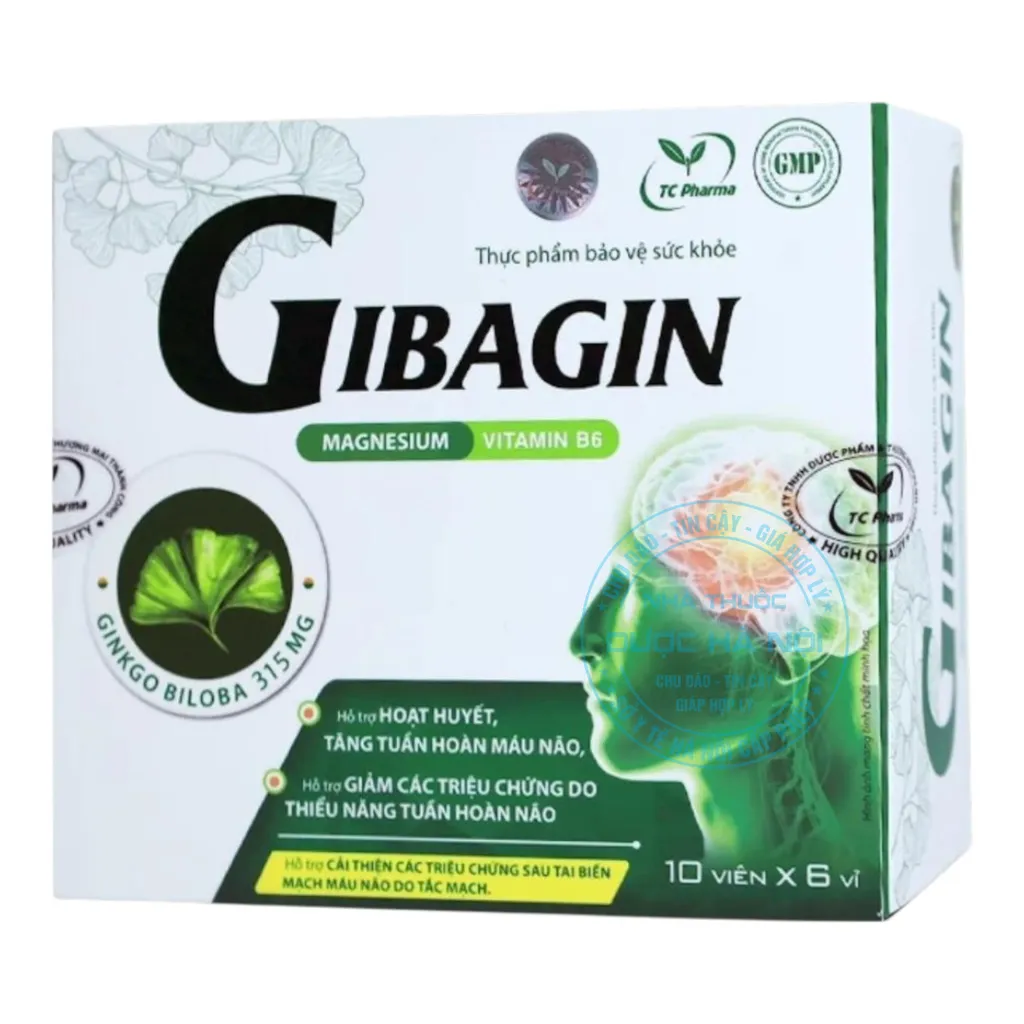 Viên uống Gibagin