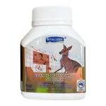 Viên uống Vital Code Essence of Kangaroo 50000 Max