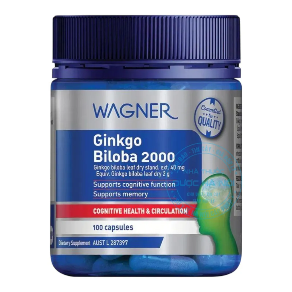 Viên uống Wagner Ginkgo Biloba 2000