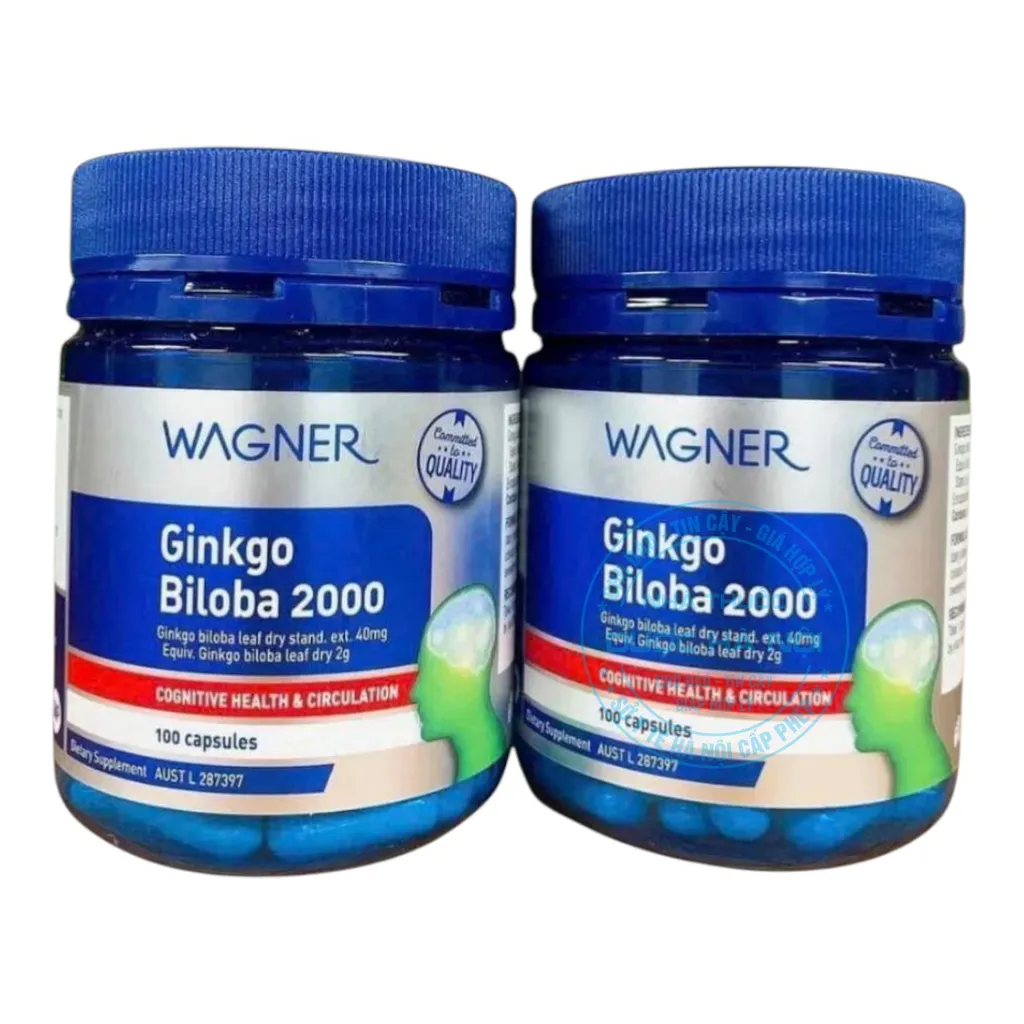 Viên uống Wagner Ginkgo Biloba 2000
