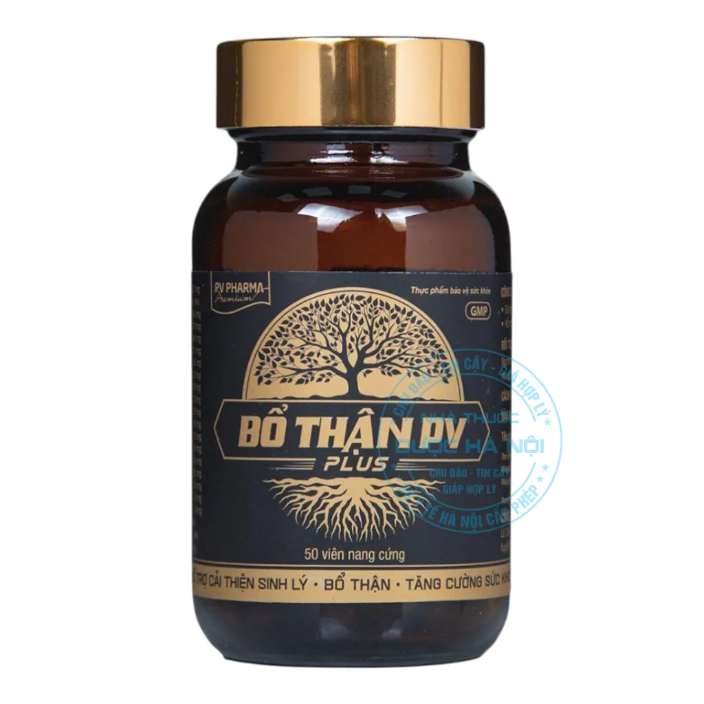 Viên uống Bổ Thận PV Plus